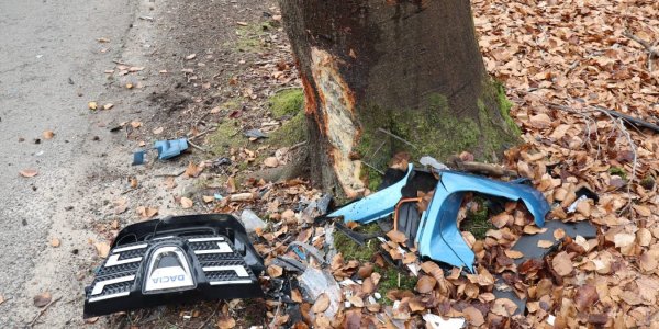 Foto: Bestuurder botst tegen boom, auto zwaar beschadigd