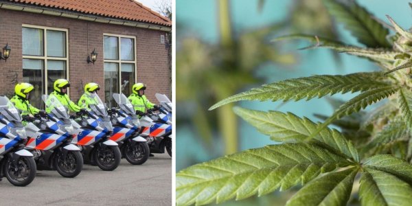 Foto: Bestuurder test positief na fataal ongeval in Putten, onderzoek is nog niet klaar
