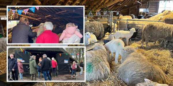 Foto: Knuffelen, knutselen en genieten op Lammetjesdag in Elspeet