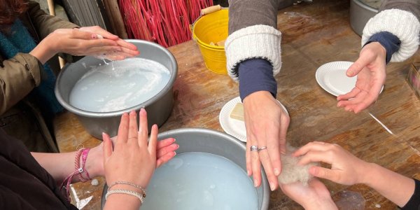 Foto: Knuffelen, knutselen en genieten op Lammetjesdag in Elspeet