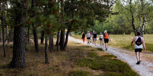 Foto: Voorjaar in beweging: start met wandelen!