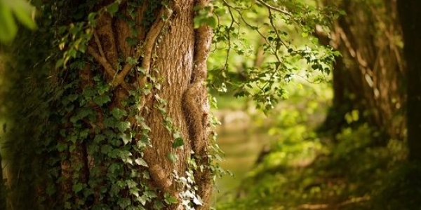 Foto: Eerst zon, toen hagel... en toch is dit de mooiste tijd van het jaar